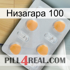 Низагара 100 24